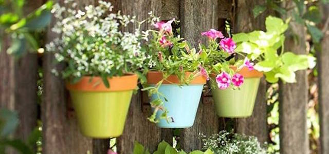 Three pastel colored flower pots on a wooden fence wall.