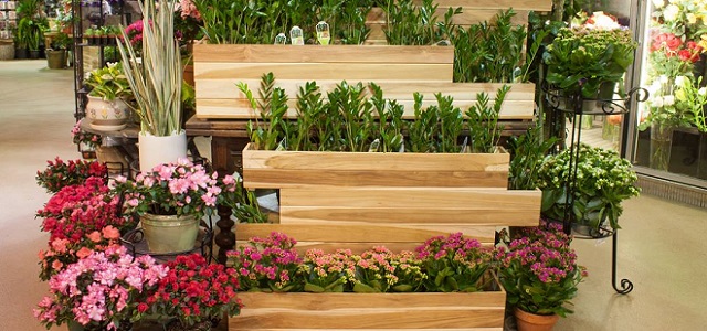Wooden boxes for potted plants with greenery and colorful flowers.