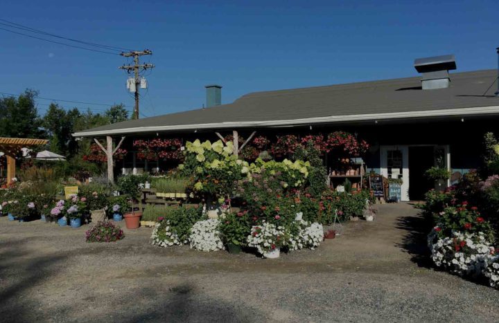the front of harvest moon and orchard